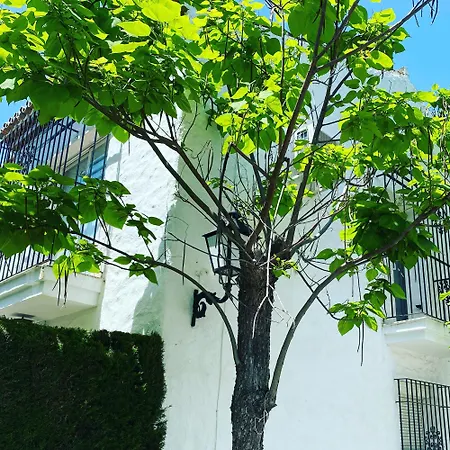 Tarifa Especial, Sin Aglomeraciones En Piscina Y Playa, Cerca De Puerto Banus * إِستيبونا